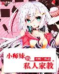 视频入口