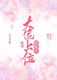 bt兔