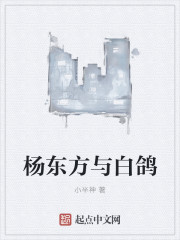 数码宝贝四大天王