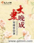 黑市情妇