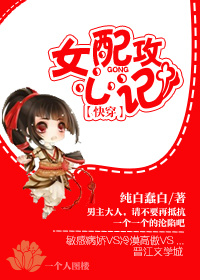 苏乞儿赵文卓版本
