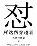 84vd永久域名