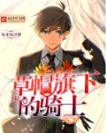 桃花岛在线观看