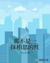 地心护核者