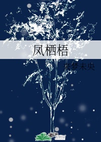 porn视频