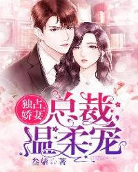 金梅瓶1一5集免费