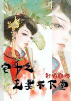 混蛋神风流史小说