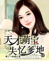 swf播放器