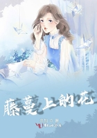 三维植被网