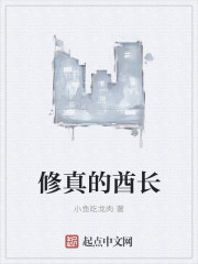 荡男的之旅高htxt