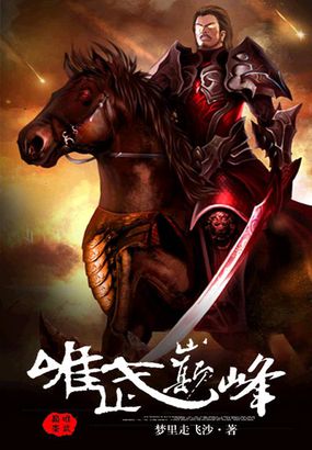 中文网小说