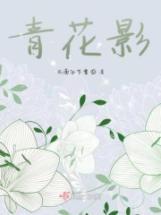一起来看流星雨