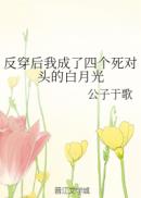 天星术鬼吹灯在线观看