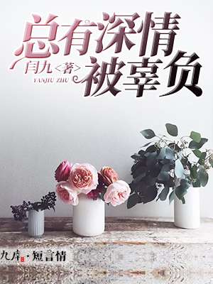 三妻四妾hd