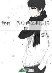 《菊内留香》金银花露