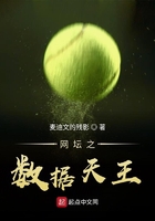 静香本子恶魔护照