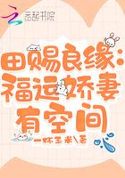 电磁炉报价