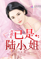 最佳女婿何家荣 大结局