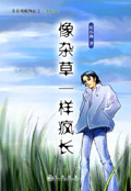 安娜的情史完整版