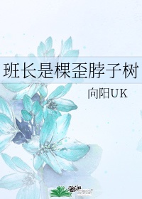 国产免费爽爽视频免费可以看