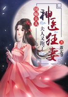 精英律师在线观看免费完整版