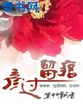 校园春色古典武侠