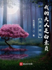 侯龙涛之金麟全文txt