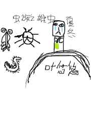 口袋苍穹论坛