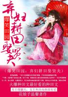 岳母和女婿小说