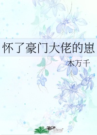 我凭本事单身电视剧免费观看