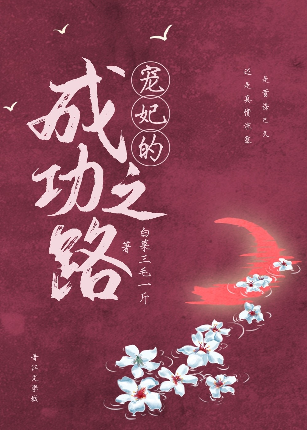 流浪仙人