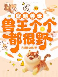 中华英雄李连杰版在线观看高清