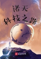 孤寂之狼 叶凡txt下载