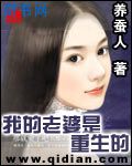 扬思敏金1一5集免费观看