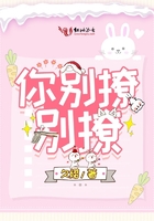 平凡导航