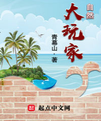 叶凡与唐若雪小说