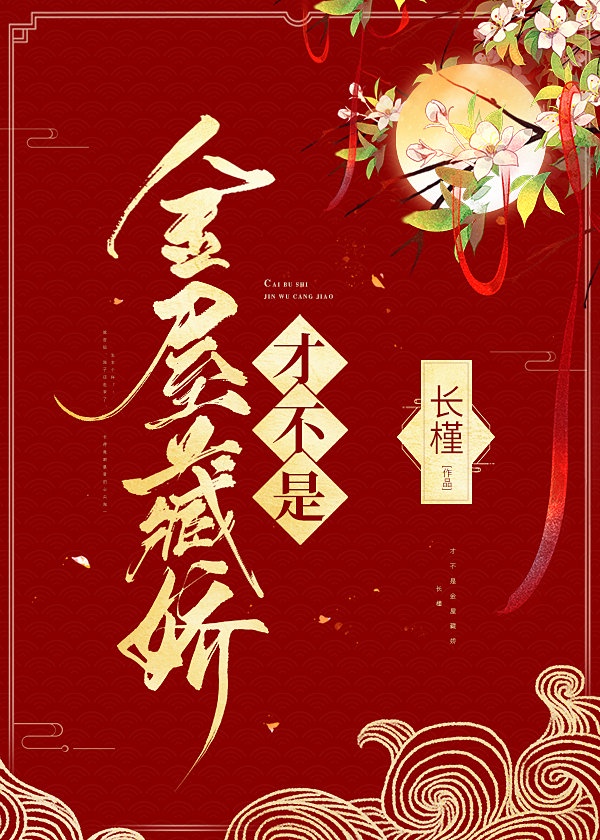 美国禁忌2保罗雪莉