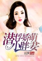 亲情会大团结目录列表