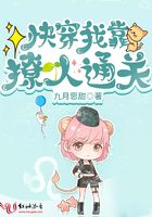 懂车帝二手车官网