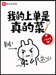 猫咪网站是多少