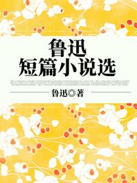 天官赐福动漫在线观看免费