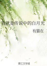 日韩院线观看免费观看