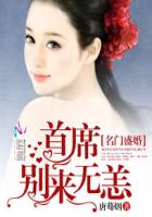言情小说txt
