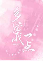 三三宝丽来
