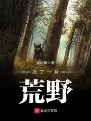公车上的放荡小说