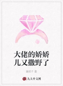 十二寡妇肉床艳史