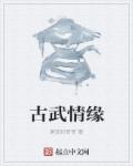 水果派解说入口