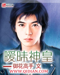 xvideos网站