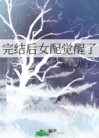 中文阅读网