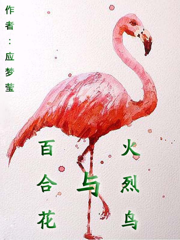 一条狗的使命在线观看